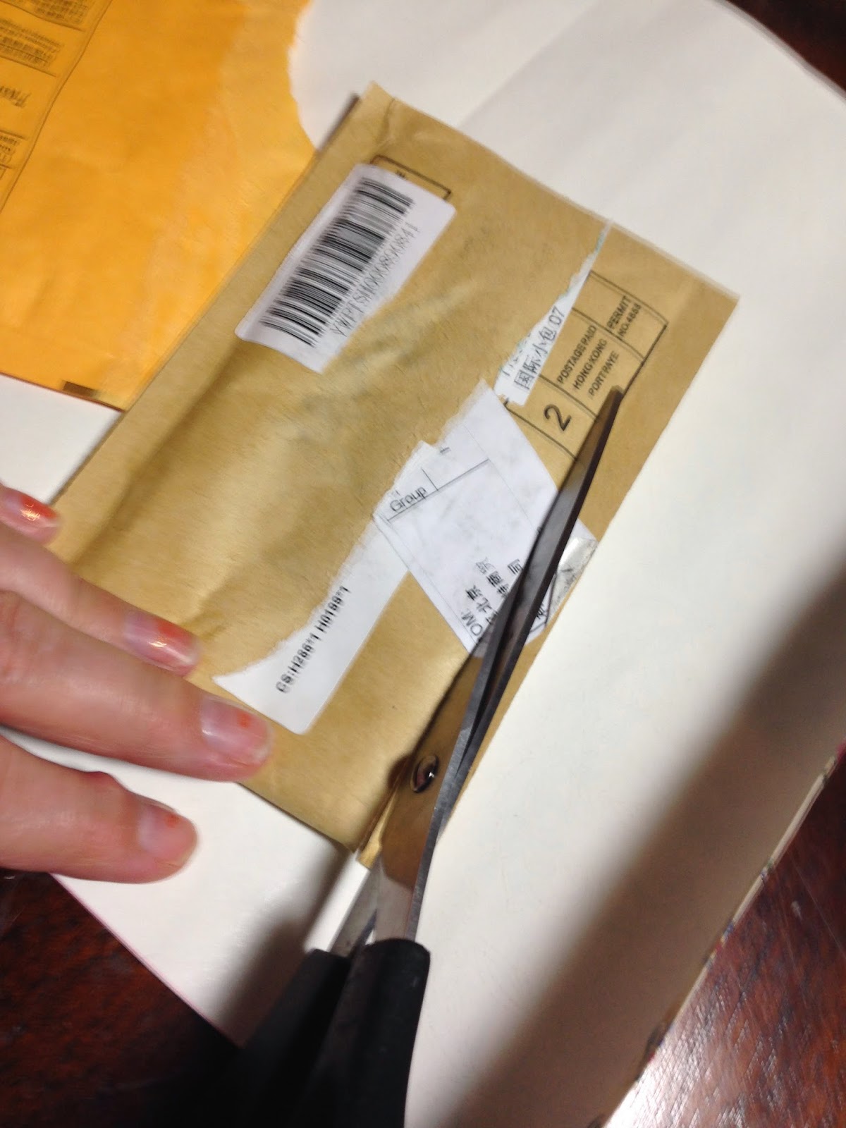 Mousie Mom's ***** Recycle Mailing Envelopes